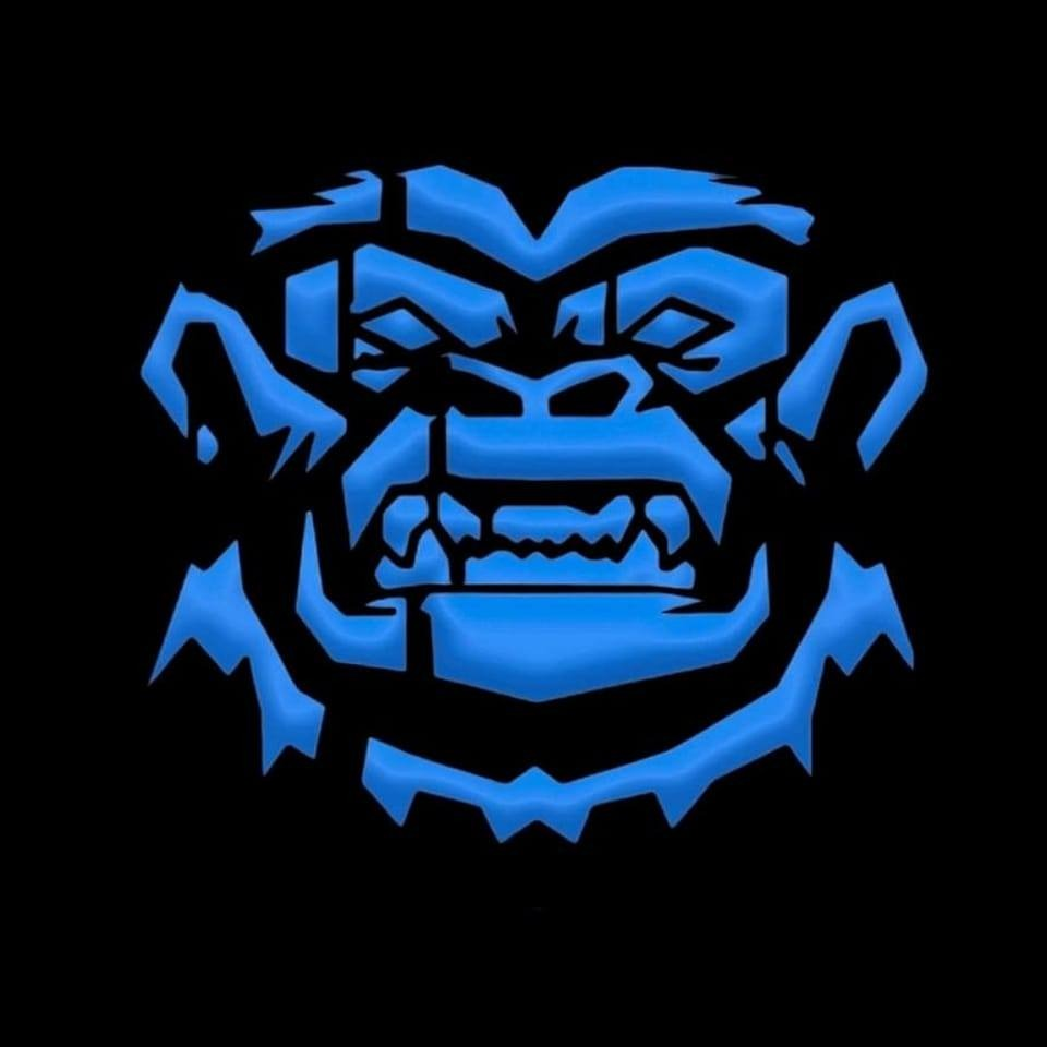 Gorilla Glass